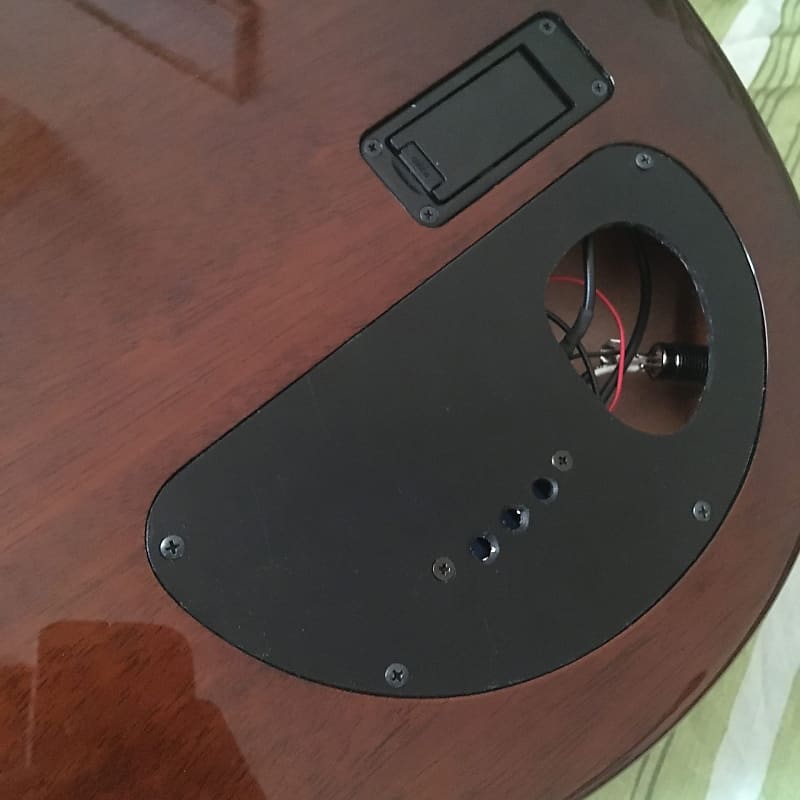VG Ear 01 Custom Z Vesta Graham Terada Electro Acoustic 2