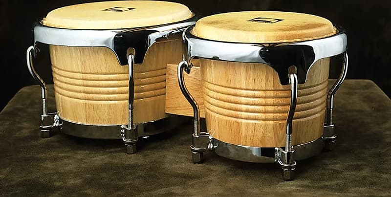 Rhytm Tech ボンゴ RT5200