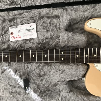 2019 Fender American Pro Telecaster LTD Lightweight Honey  Blonde Rosewood image 9