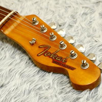 Rare Vintage 1981 made TOKAI Breezysound Telecaster TE-50