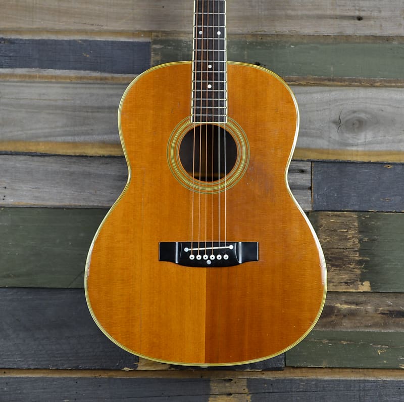 タカミネギターPALATHETICピックアップ搭載モデル PT-06E 【公式通販】