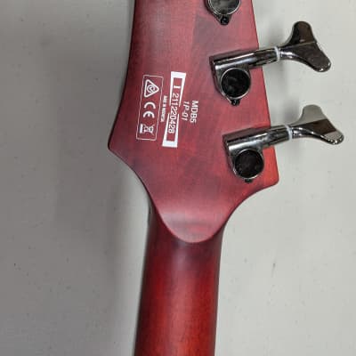 Ibanez MDB5-OXB Mike D'Antonio Signature Destroyer Bass 2022 - 2023 - Oxblood Weathered Black - DR Red Devil Stings and custom case image 11