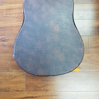 Norman B15 Brown Acoustic Guitar (MINT) with Hardcase image 14
