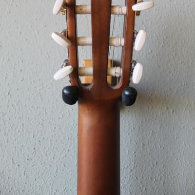 Brand New Yamaha C40 Nylon String Classical Guitar image 8