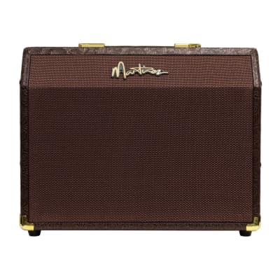 Martinez Retro-Style 25 Watt Acoustic Guitar Amplifier with Reverb (Paisley Brown) for sale