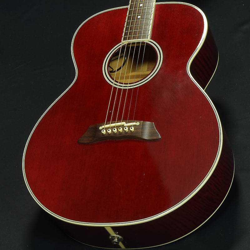 Takamine Pt100 Sp (06/01) | Reverb