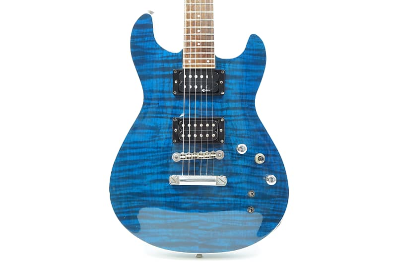 ワンピなど最旬ア！ FERNANDES サスティナー APG-55S ギター