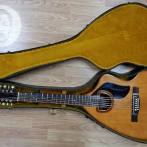 Giannini AWKS-12 12 String Acoustic guitar w/ OHSC image 2
