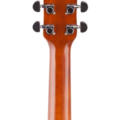 Ibanez PN15 Parlor Acoustic Guitar Brown Sunburst image 7