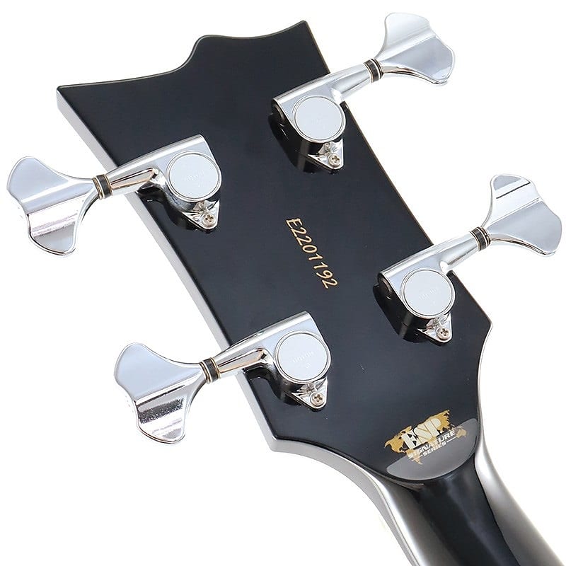 ESP Rin ~Lynn~ SID 15th Anniversary Edition [USED] | Reverb