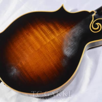 Gibson 1981 F 5L image 10