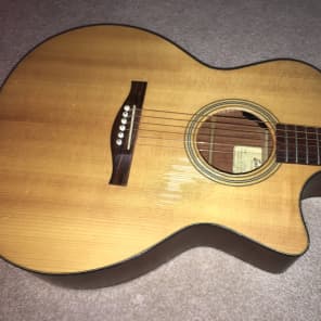 Eastman HE122CE Acoustic Electric Guitar Reverb