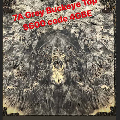 Kiesel Aries 2020 Grey Buckeye image 7