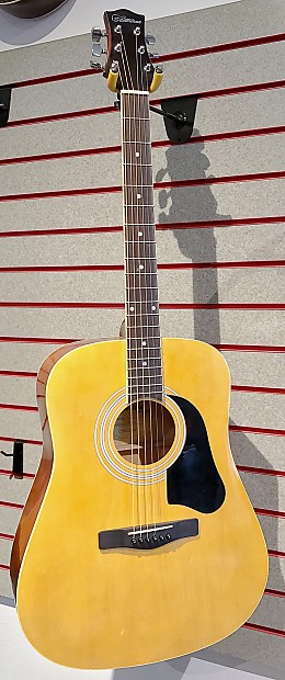 Silvertone pro deals series acoustic guitar