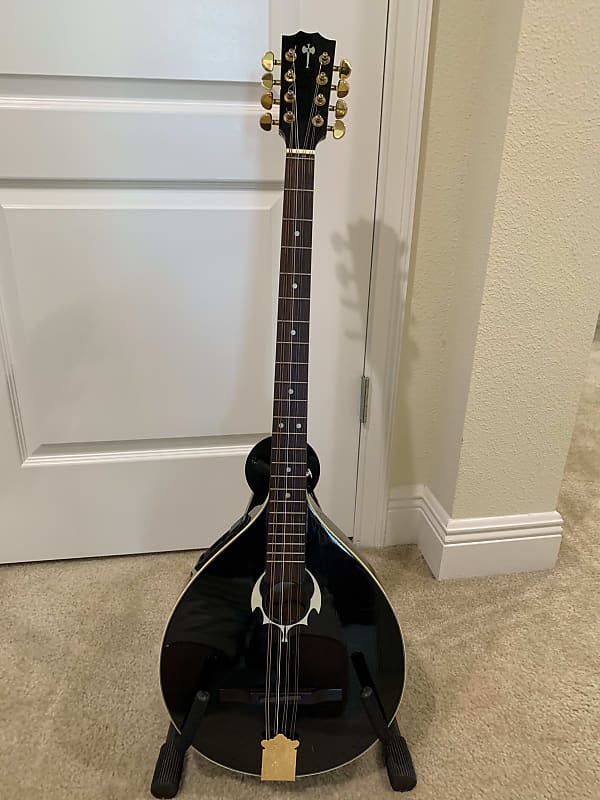 Hora The Irish Black Bouzouki mid2010's Black gloss Reverb