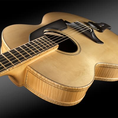 Schneider Guitars / The SoHo17 image 1