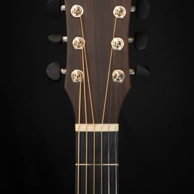 Dowina Rustica DC Acoustic Guitar (Dreadnaught Cutaway) image 4