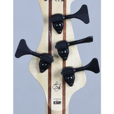 ESP LTD John Campbell JC-4FM Signature Electric Bass See Thru Black Satin Sides image 16
