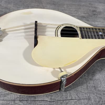 Gibson A-3 Mandolin 1920 - White image 3