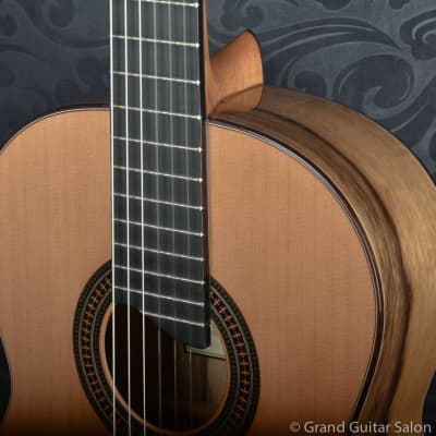 Raimundo Tatyana Ryzhkova Signature model, Cedar top  classical guitar image 19