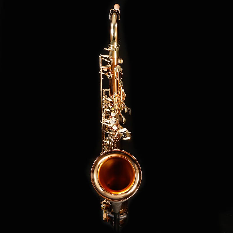Adore Pro Saxophone Thumb Hook Gold Metal Thumb Rest Support Soprano Alto  Tenor