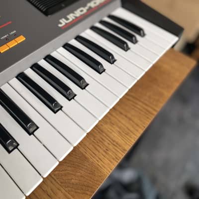 Roland Juno 106s - 6 New Voice Chips! image 8