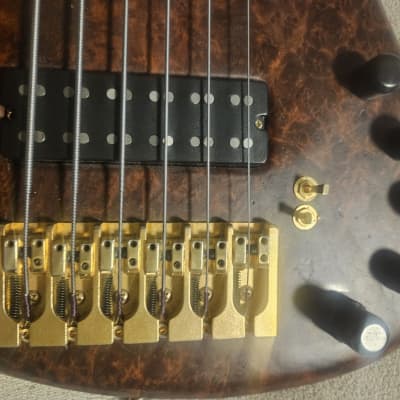 Pavel's 6 String Bass Signature Aryel Pro II 2007 - Walnut, Honduran Mohogany Bottom, Red wood Barrel image 10