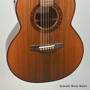 Simon Fay #10 Hand-made Guitar, Sinker Redwood, Ziricote, Sound Port, Double Sides image 1