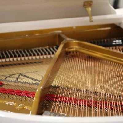 Venables & Son Studio-152 Grand Piano image 8