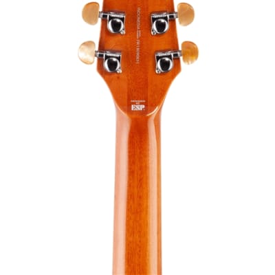 ESP LTD TL6QM Acoustic Electric Thinline Guitar Tiger Eye image 7