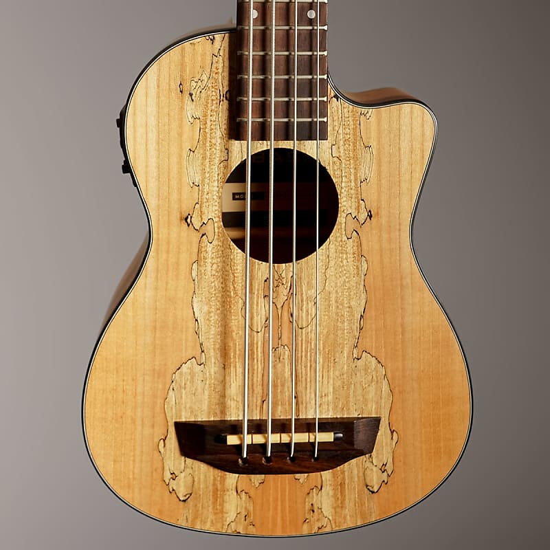 Kala U Bass Spalted Maple Reverb