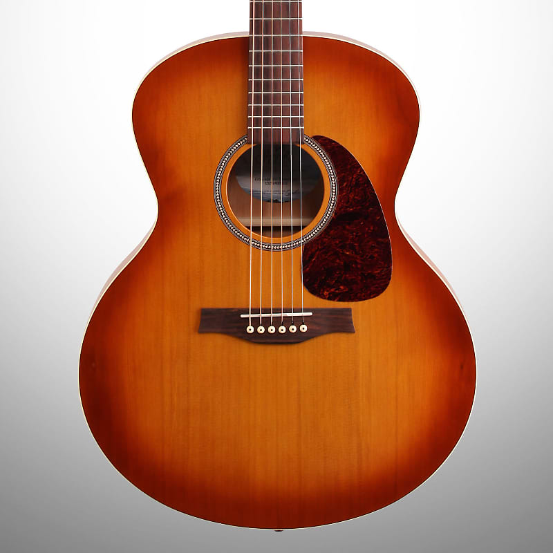 Seagull Entourage Rustic Mini Jumbo | Reverb