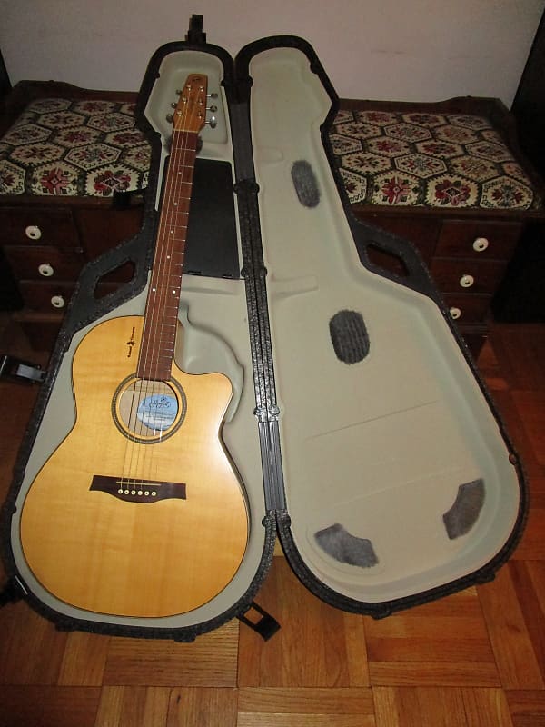 Seagull Amber Trail CW Folk SG AC 1.5T 2010s - Natural | Reverb