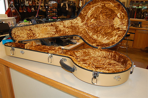 Used banjo cases for sale clearance