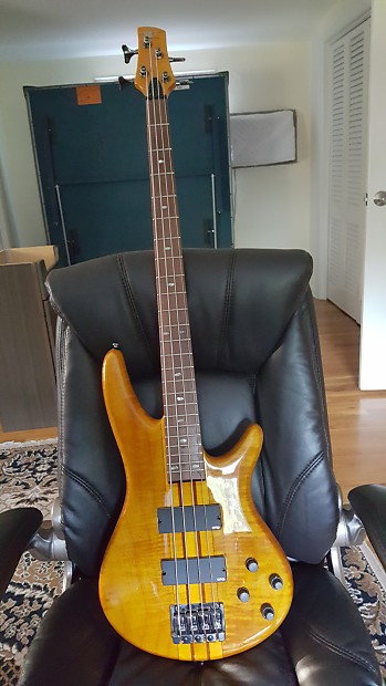 Ibanez SRT 800 DX | Reverb