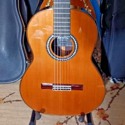 Cordoba C10 parlor guitar 2015-2017 - High Gloss | Reverb