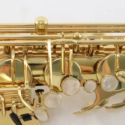 Selmer Paris Model 54AXOS Professional Tenor Saxophone SN 833228 GORGEOUS image 19