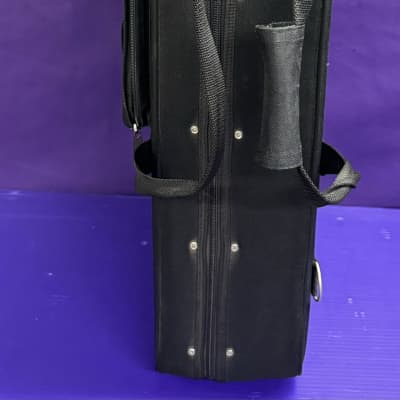 Immagine F style Mandolin Travelite case for Gibson Epiphone F-5 F-4 - 2