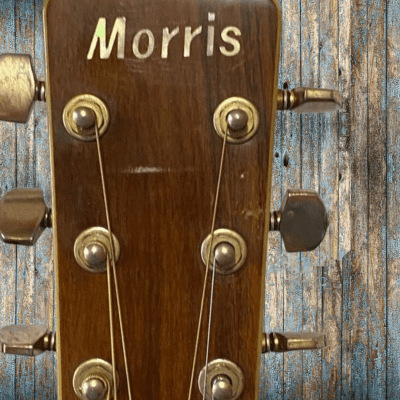Morris -  MD-515 Acoustic Guitar -  MIJ image 3
