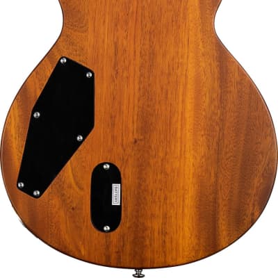 ESP LTD EC-1000T Fluence Flame Maple Electric Guitar, Honey Burst Satin image 3