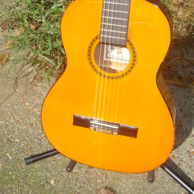 Hondo H310 Classical Resonant Singing Tone Reverb