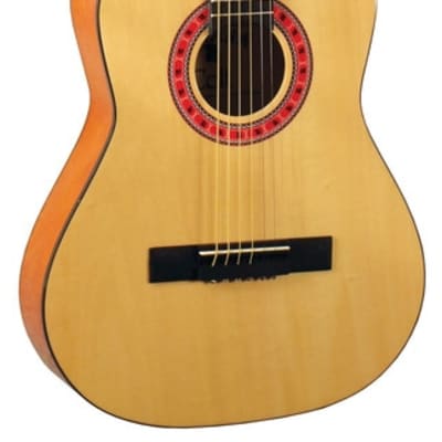 Indiana COLT Standard Size 36-Inch Spruce Top 6-String Acoustic Guitar w/Gig Bag image 3