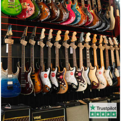 Boston Acoustic Guitar Gig Bag image 3