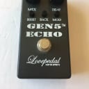 Lovepedal GEN 5 Echo Analog Tape Delay Hermida Rare Guitar Effect Pedal