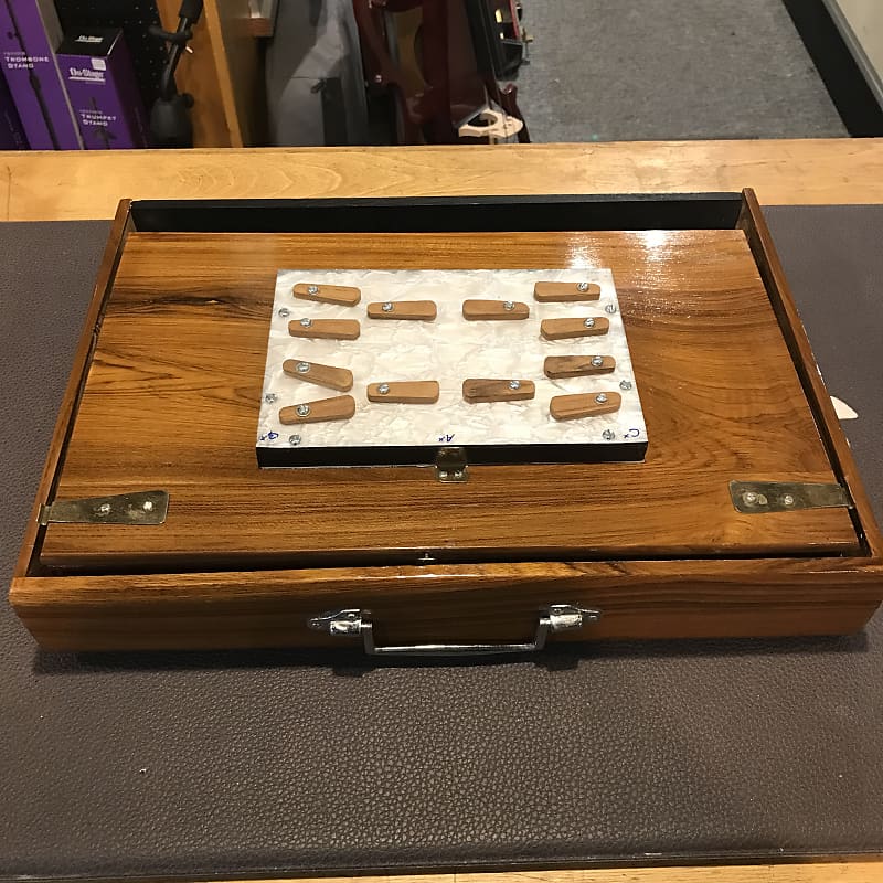 Bina Shruti Box 2020s Reverb