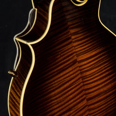 Hinde Heritage F German Spruce and Torrefied Flamed Maple Mandolin NEW image 18