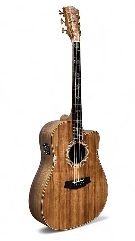 ギター ColeClark FL3AC Cole Clark CCFL3 Fat Lady 3 | Reverb
