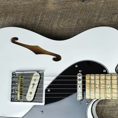 MyDream Partcaster Custom Built - Black & White Thinline Quarter Pound image 10
