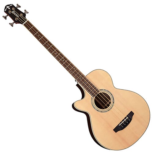 Left handed on sale acoustic bass