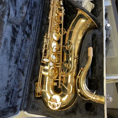 Emeo Digital Practice Saxophone Wind Synthesizer 2022 Black Emeo Digital Practice Saxophone Wind Synthesizer 2022 Black